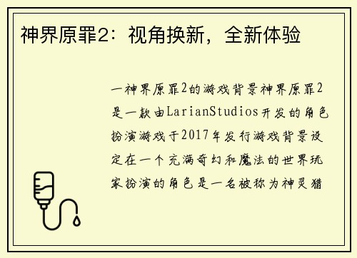 神界原罪2：视角换新，全新体验